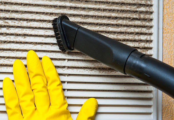 Air Duct Mold Removal in UT